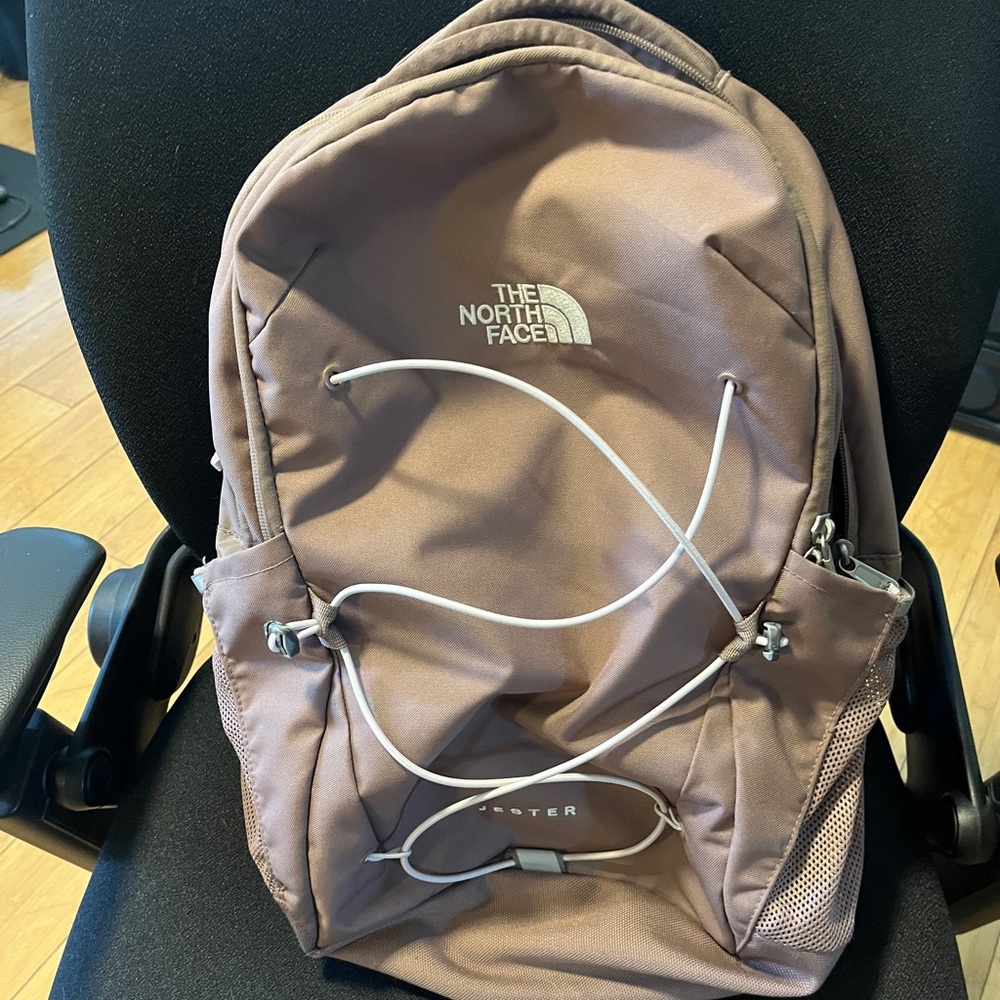 The North Face Blush Pink Backpack|Jester